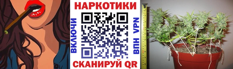 Купить закладку Бошки Шишки  Alpha-PVP  МЕТАДОН  Меф мяу мяу  КОКАИН  ГАШИШ  Гаджиево
