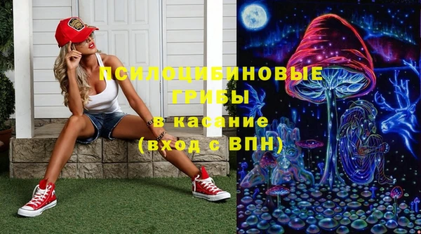 мескалин Коряжма