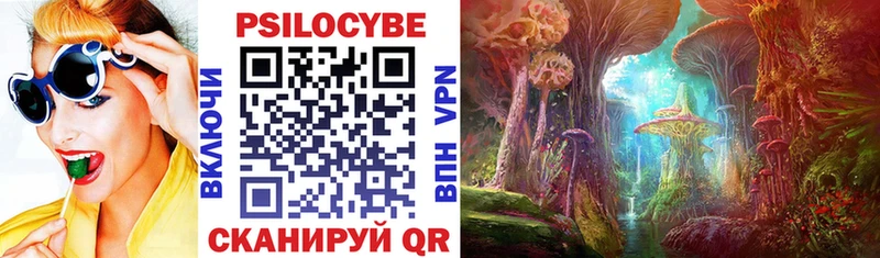 Псилоцибиновые грибы Cubensis  Купить где  Гаджиево 